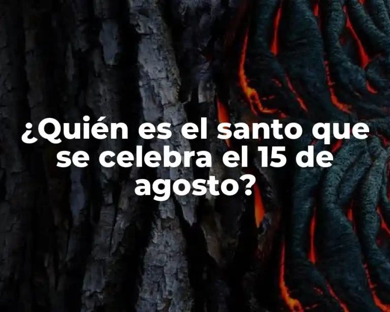 ¿Quién es el santo que se celebra el 15 de agosto?
