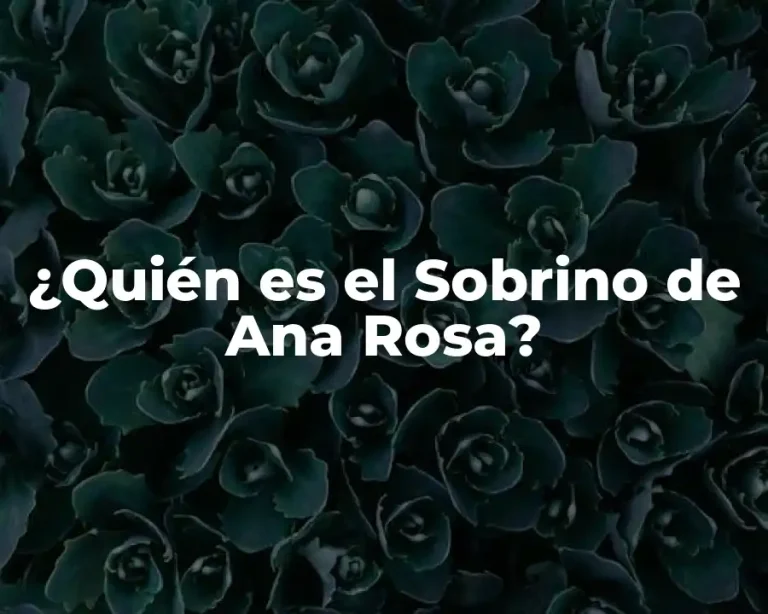 ¿Quién es el Sobrino de Ana Rosa?
