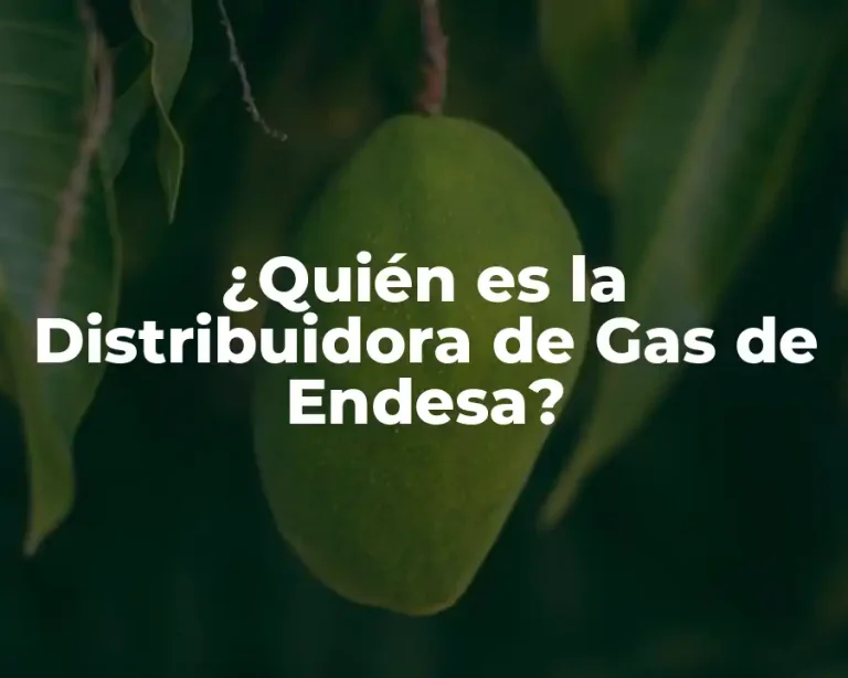 ¿Quién es la Distribuidora de Gas de Endesa?