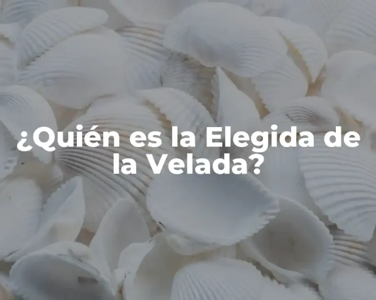 ¿Quién es la Elegida de la Velada?
