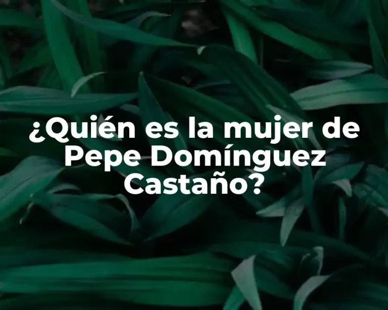 ¿Quién es la mujer de Pepe Domínguez Castaño?