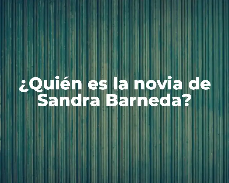 ¿Quién es la novia de Sandra Barneda?