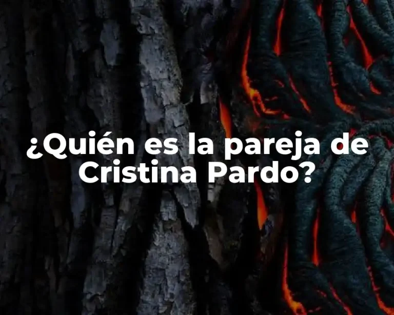 ¿Quién es la pareja de Cristina Pardo?