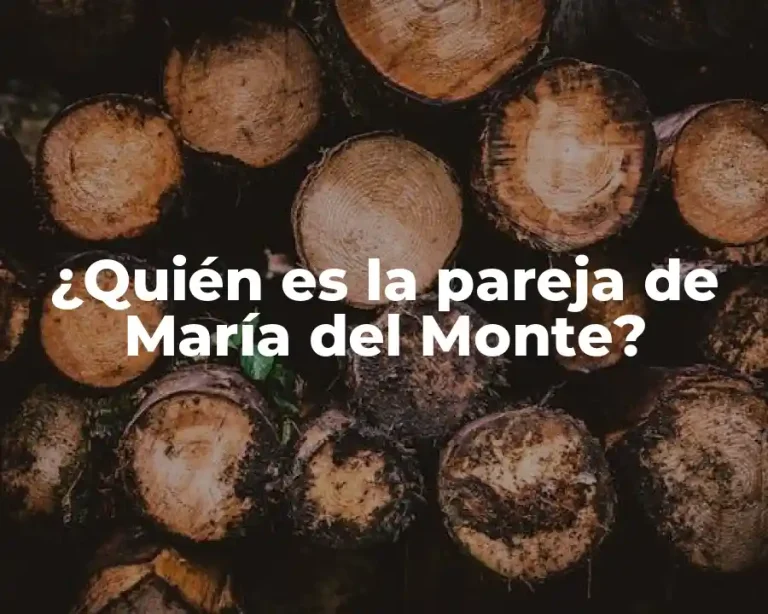 ¿Quién es la pareja de María del Monte?