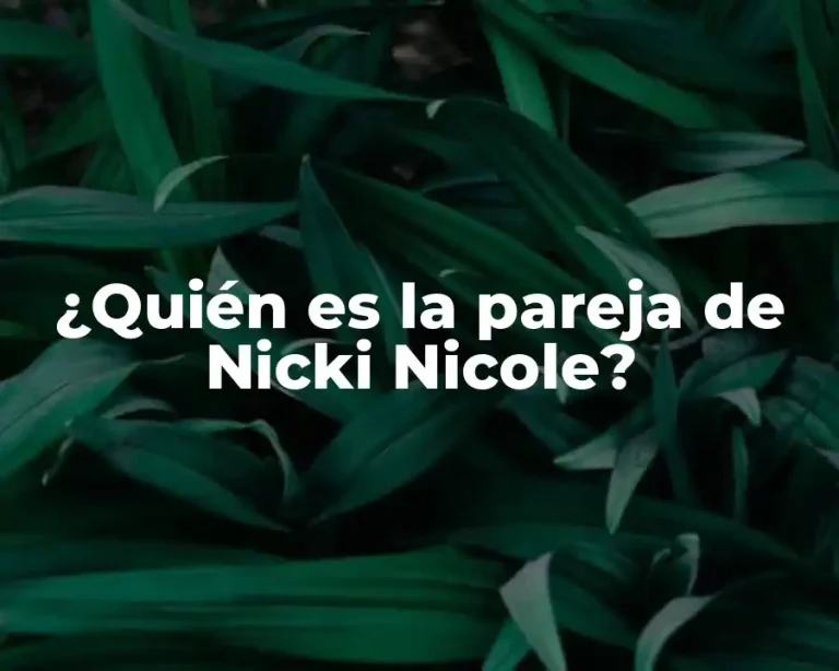 ¿Quién es la pareja de Nicki Nicole?