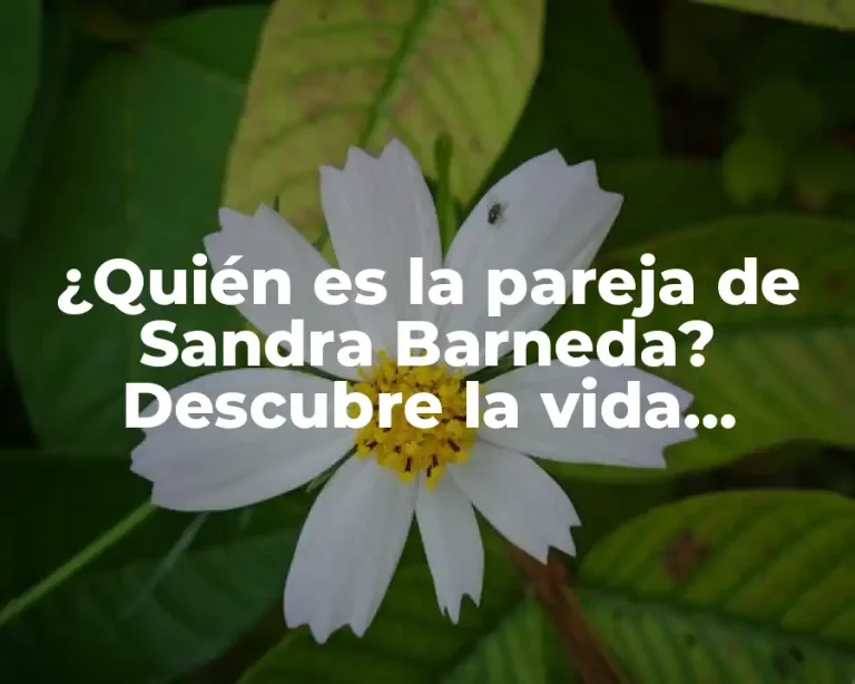 ¿Quién es la pareja de Sandra Barneda? Descubre la vida amorosa de la popular presentadora española