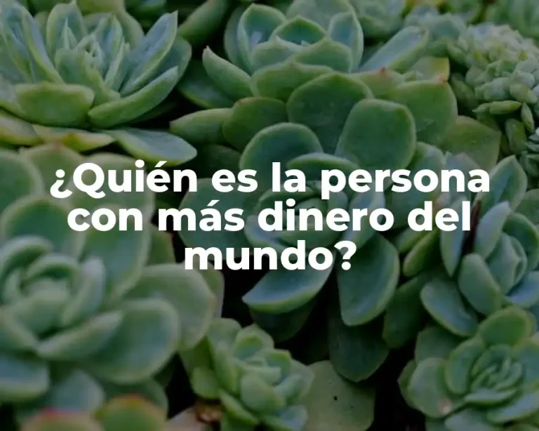 ¿Quién es la persona con más dinero del mundo?