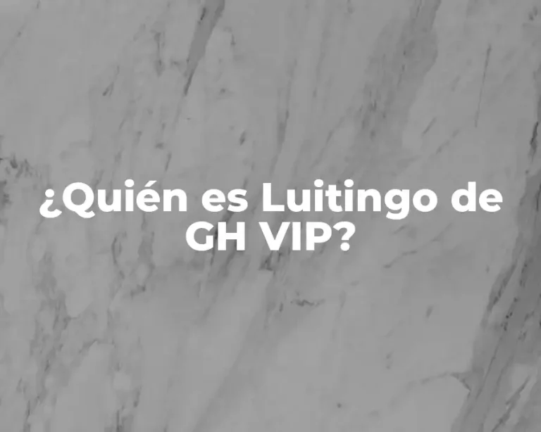 ¿Quién es Luitingo de GH VIP?