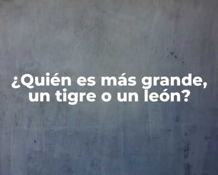¿Quién es más grande, un tigre o un león?