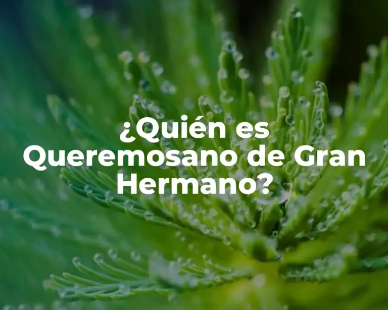 ¿Quién es Queremosano de Gran Hermano?