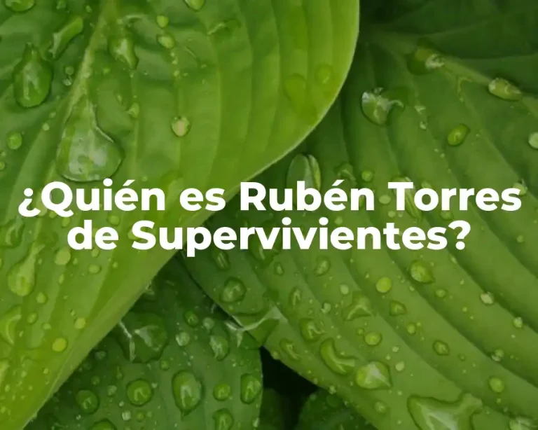 ¿Quién es Rubén Torres de Supervivientes?