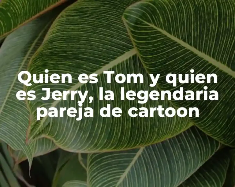 Quien es Tom y quien es Jerry, la legendaria pareja de cartoon