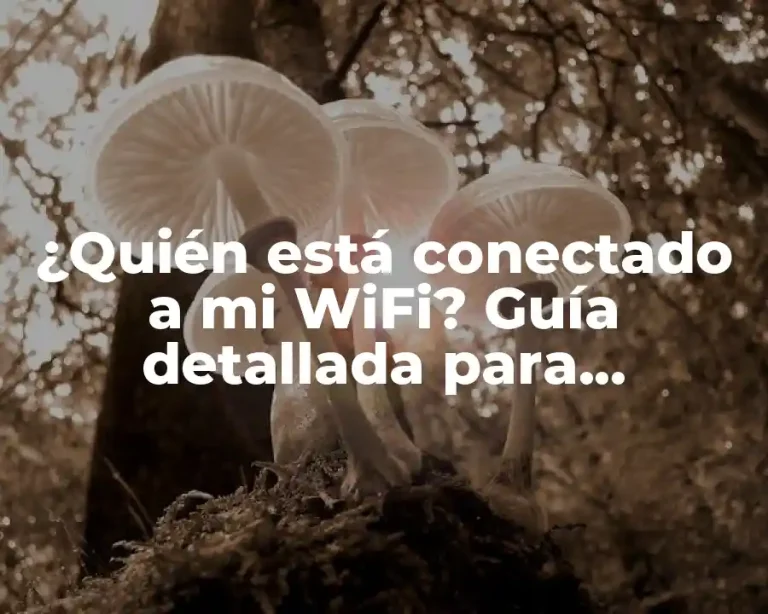 ¿Quién está conectado a mi WiFi? Guía detallada para identificar dispositivos en tu red