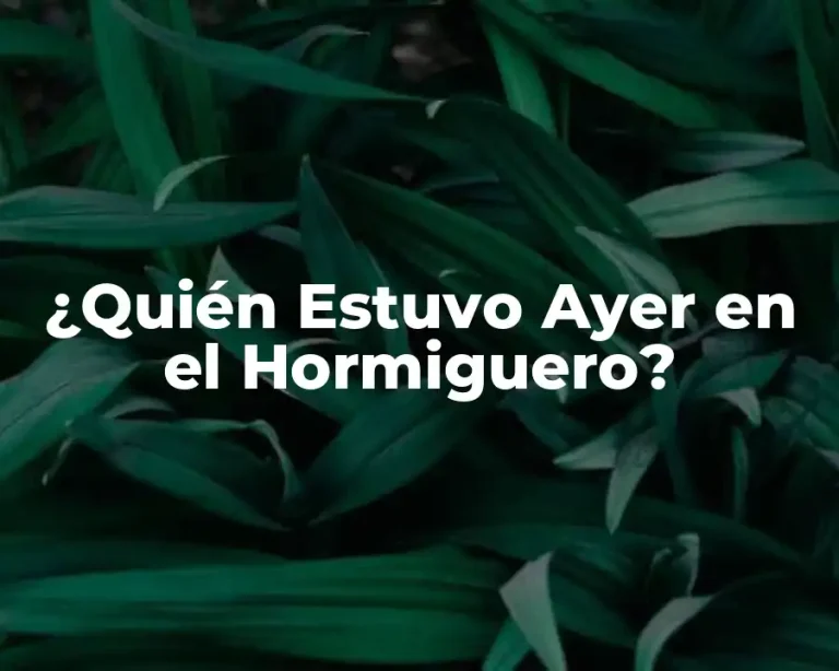 ¿Quién Estuvo Ayer en el Hormiguero?