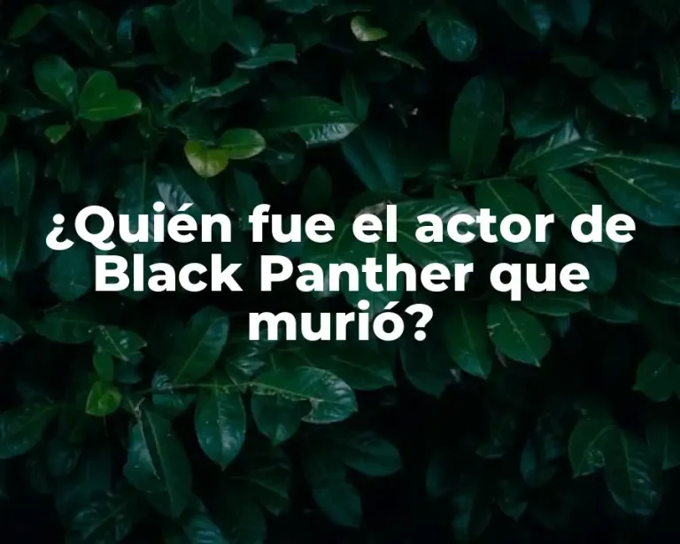 ¿Quién fue el actor de Black Panther que murió?