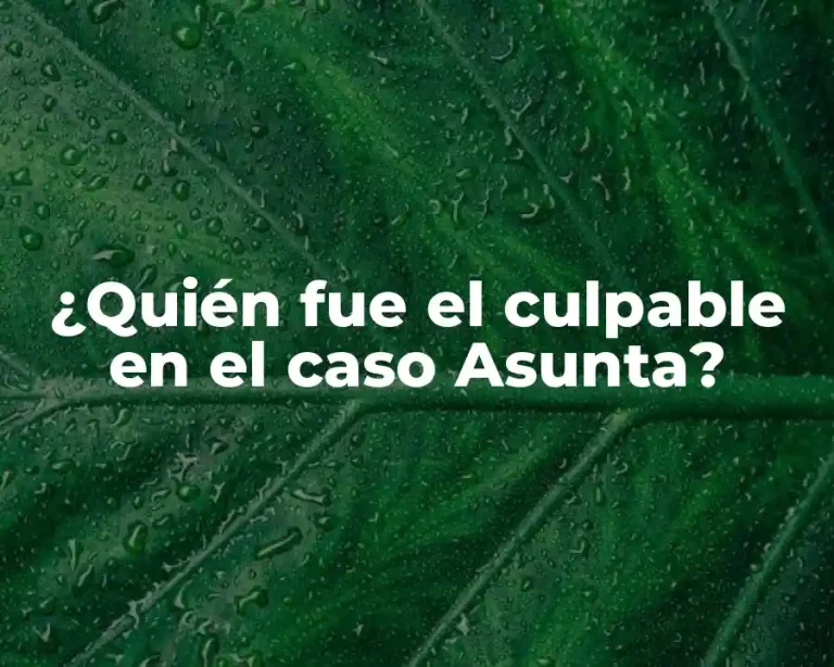 ¿Quién fue el culpable en el caso Asunta?