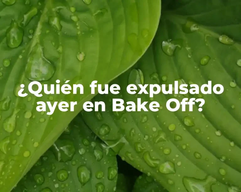 ¿Quién fue expulsado ayer en Bake Off?