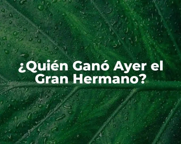 ¿Quién Ganó Ayer el Gran Hermano?