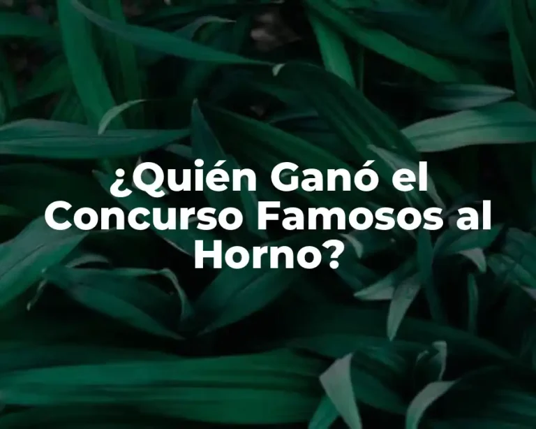¿Quién Ganó el Concurso Famosos al Horno?