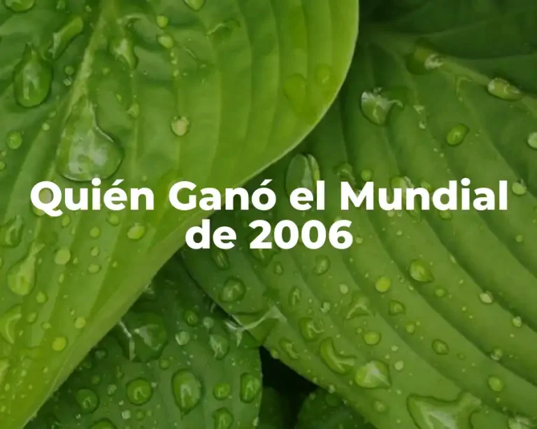 Quién Ganó el Mundial de 2006