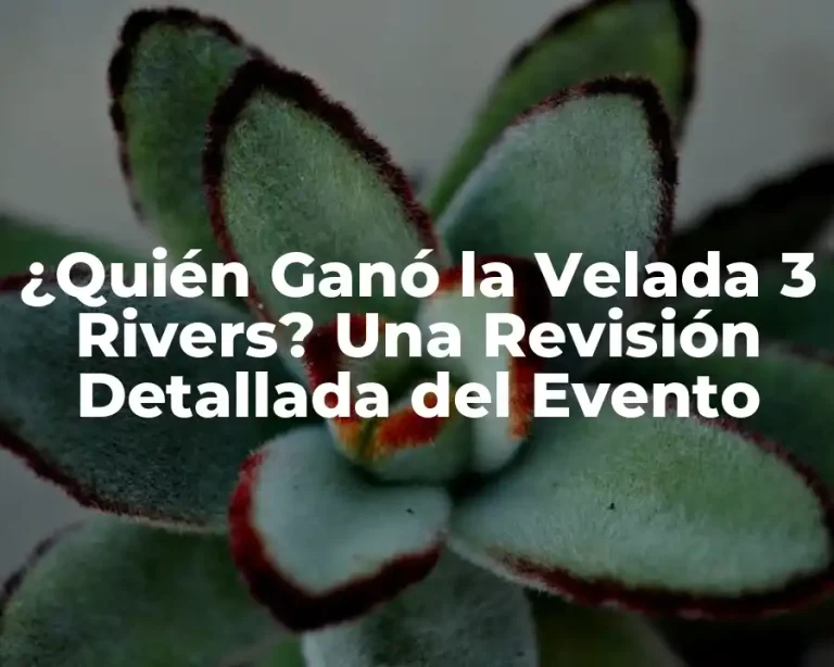 ¿Quién Ganó la Velada 3 Rivers? Una Revisión Detallada del Evento