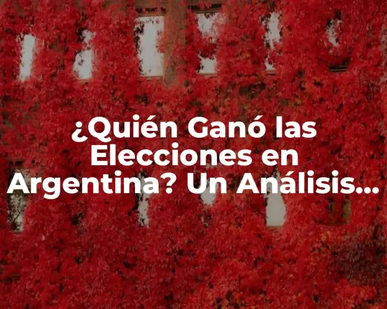 ¿Quién Ganó las Elecciones en Argentina? Un Análisis Detallado