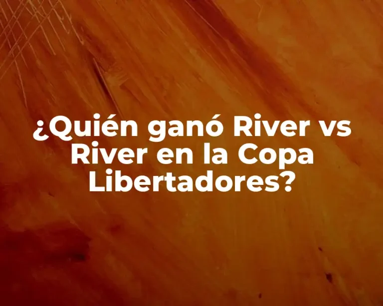 ¿Quién ganó River vs River en la Copa Libertadores?