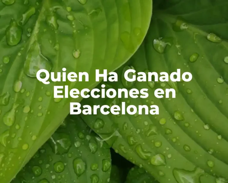 Quien Ha Ganado Elecciones en Barcelona