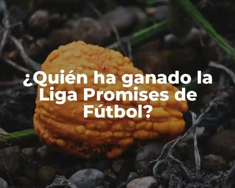 ¿Quién ha ganado la Liga Promises de Fútbol?