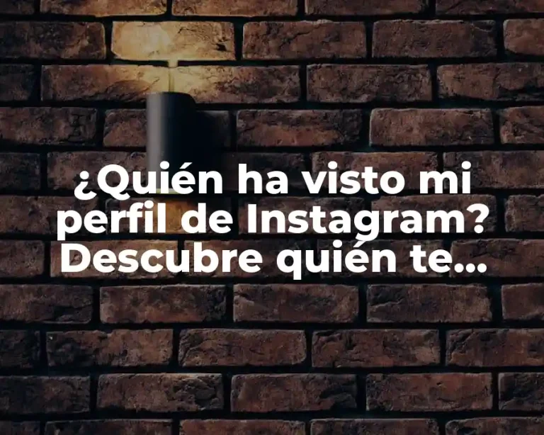 ¿Quién ha visto mi perfil de Instagram? Descubre quién te sigue