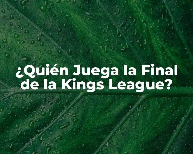 ¿Quién Juega la Final de la Kings League?