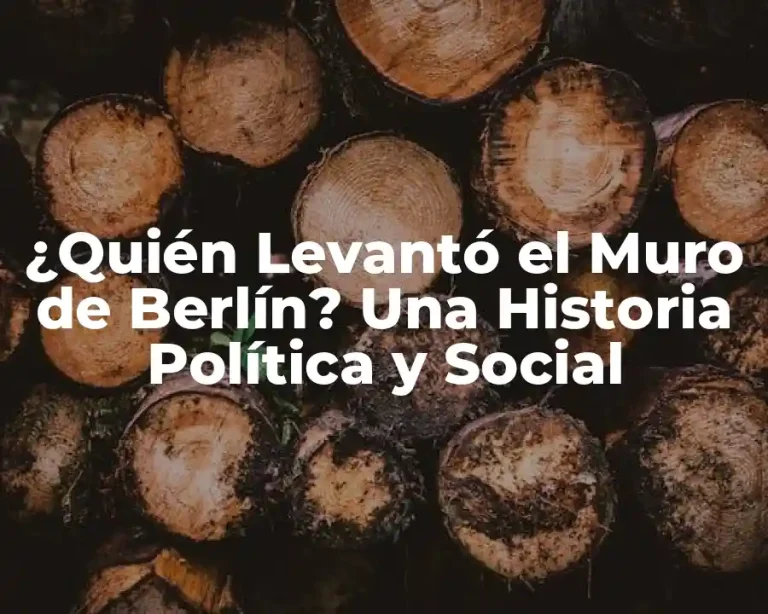 ¿Quién Levantó el Muro de Berlín? Una Historia Política y Social