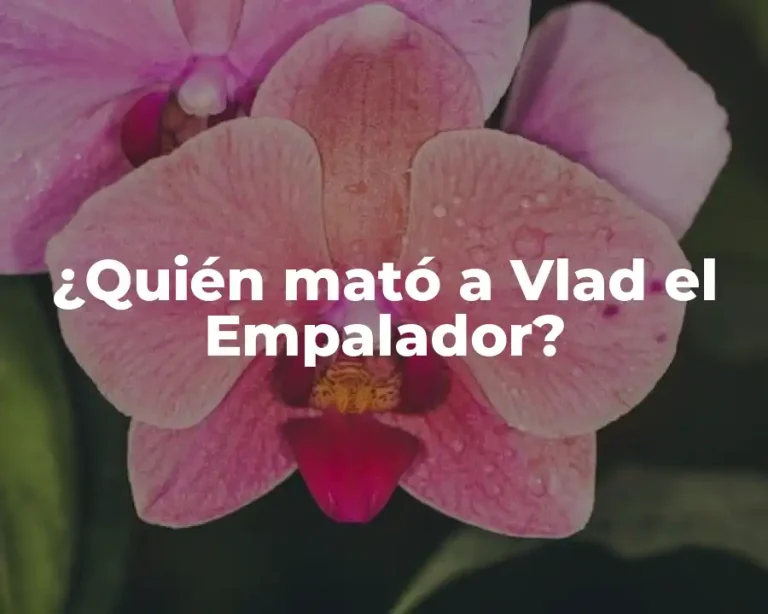 ¿Quién mató a Vlad el Empalador?