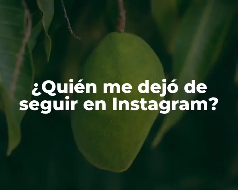 ¿Quién me dejó de seguir en Instagram?