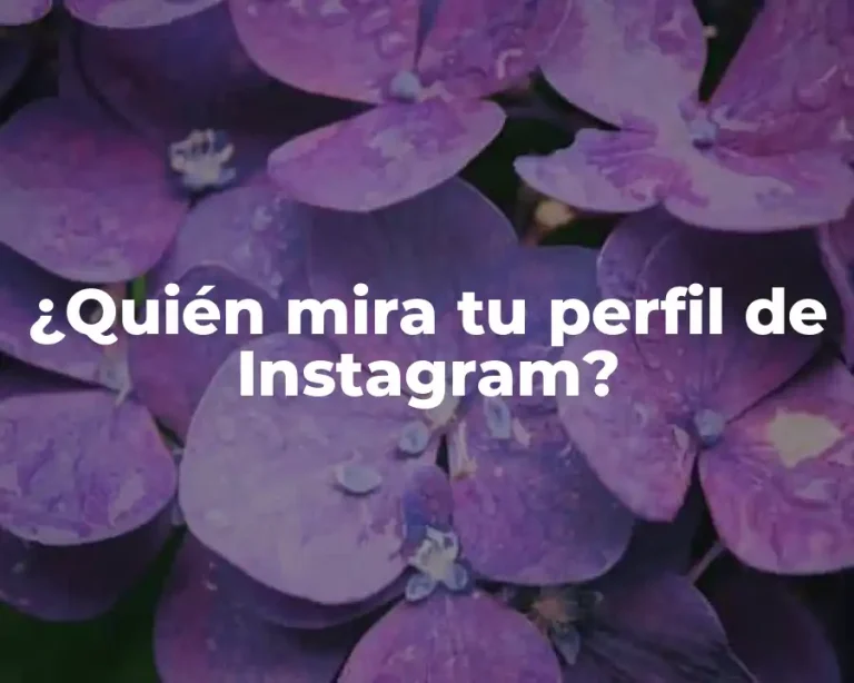 ¿Quién mira tu perfil de Instagram?