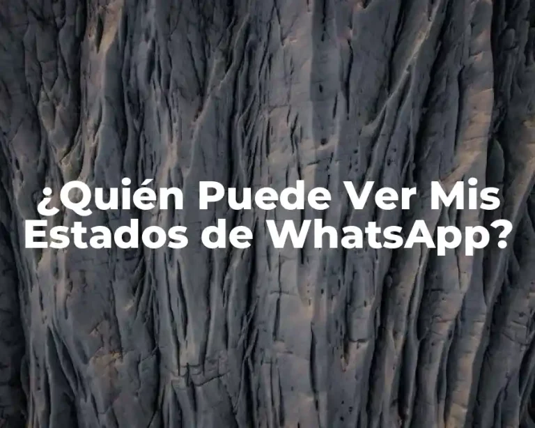 ¿Quién Puede Ver Mis Estados de WhatsApp?
