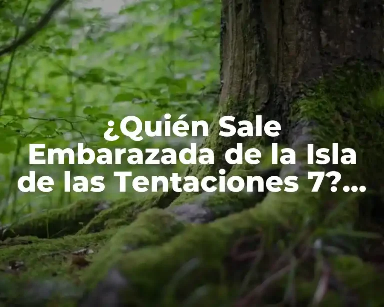 ¿Quién Sale Embarazada de la Isla de las Tentaciones 7? Descubre la Sorprendente Respuesta