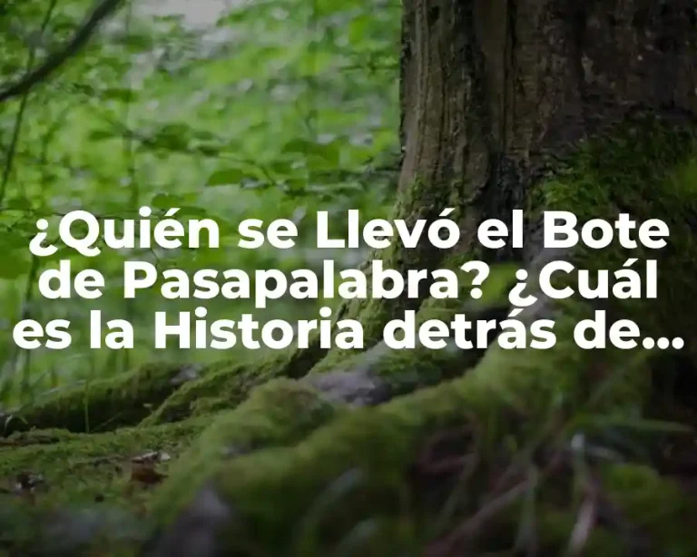 ¿Quién se Llevó el Bote de Pasapalabra? ¿Cuál es la Historia detrás de este Premio?