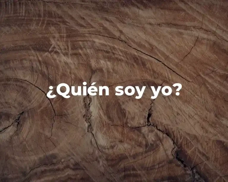 ¿Quién soy yo?