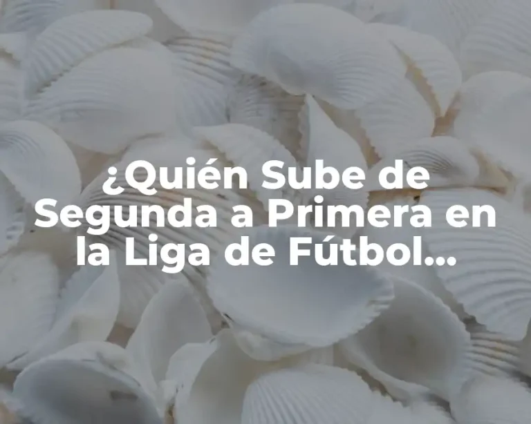 ¿Quién Sube de Segunda a Primera en la Liga de Fútbol Profesional?