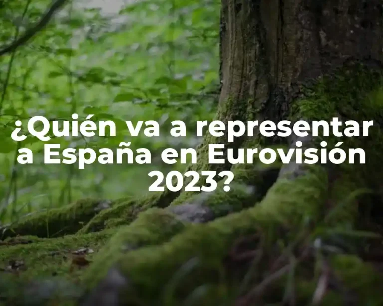 ¿Quién va a representar a España en Eurovisión 2023?