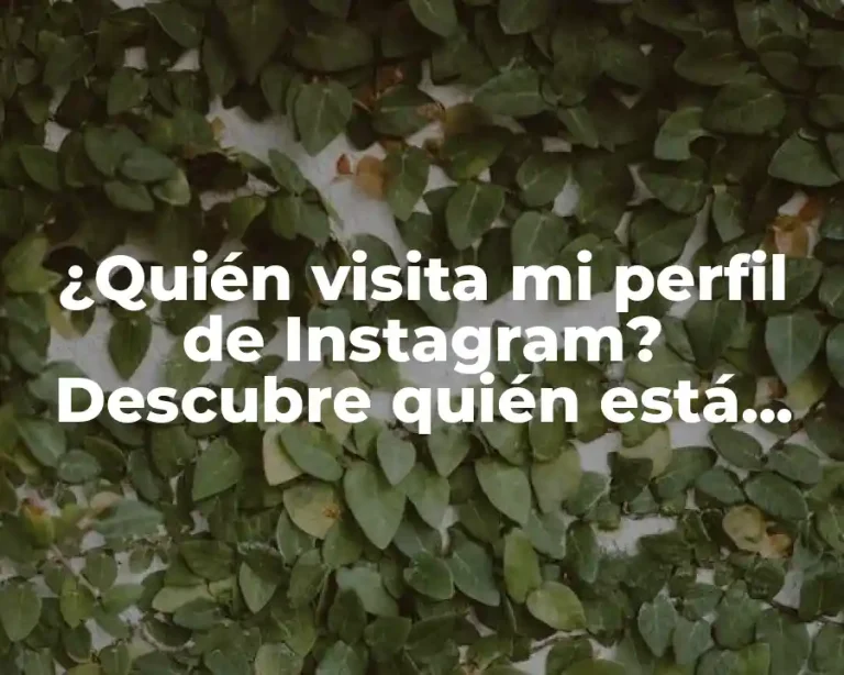 ¿Quién visita mi perfil de Instagram? Descubre quién está viendo tu contenido