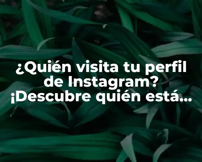 ¿Quién visita tu perfil de Instagram? ¡Descubre quién está interesado en ti!