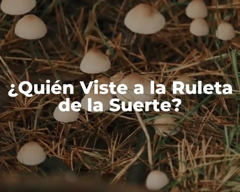 ¿Quién Viste a la Ruleta de la Suerte?