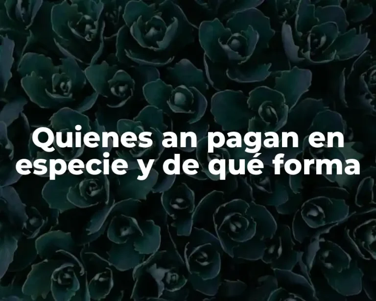 Quienes an pagan en especie y de qué forma