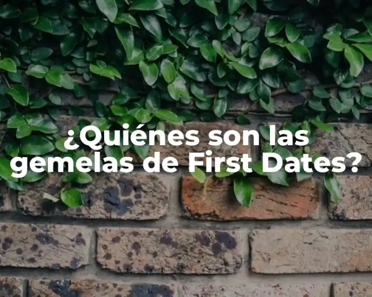 ¿Quiénes son las gemelas de First Dates?