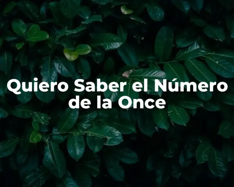 Quiero Saber el Número de la Once