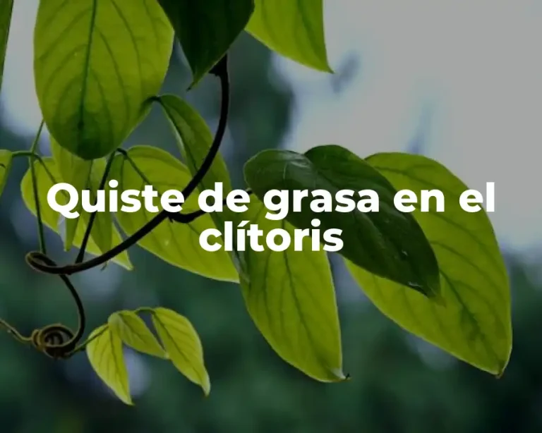 Quiste de grasa en el clítoris