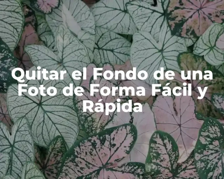 Quitar el Fondo de una Foto de Forma Fácil y Rápida