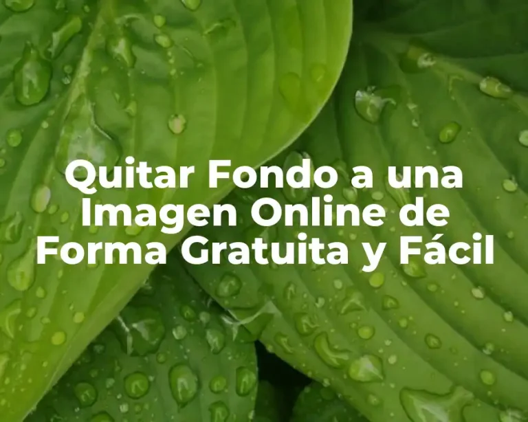 Quitar Fondo a una Imagen Online de Forma Gratuita y Fácil